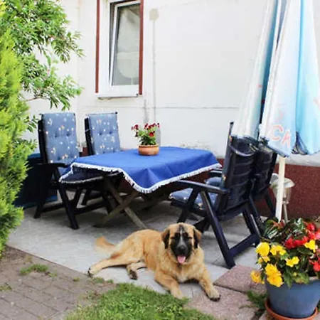 Ferienwohnung Isabell Ostseebad Ostseebad Zinnowitz Exterior foto